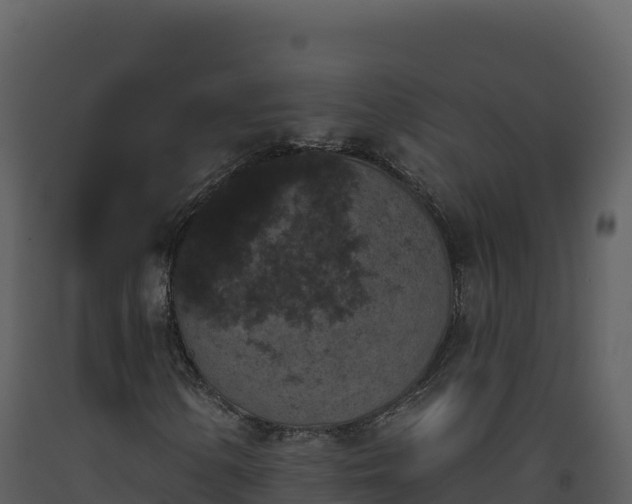 X0000093481154200710191200