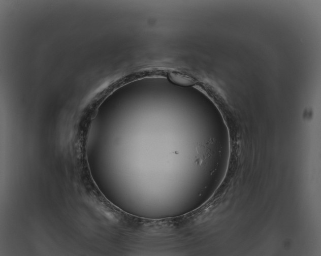 X0000093481159200710191200