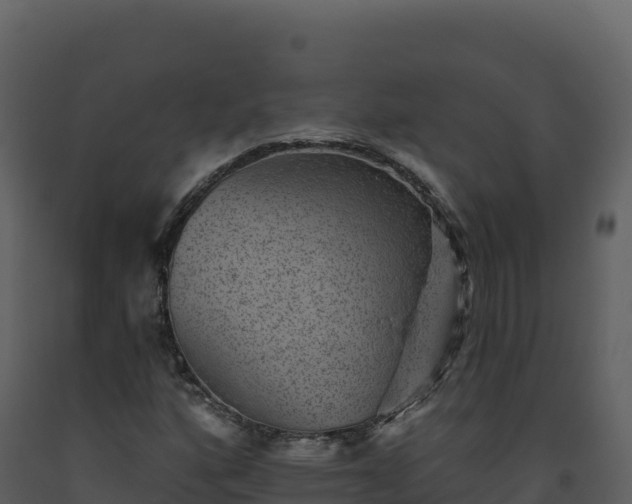 X0000093481160200710191200