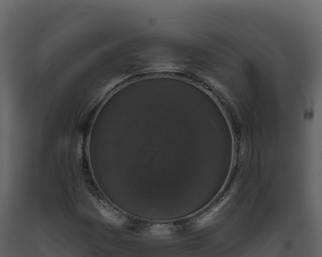X0000093481161200710191200