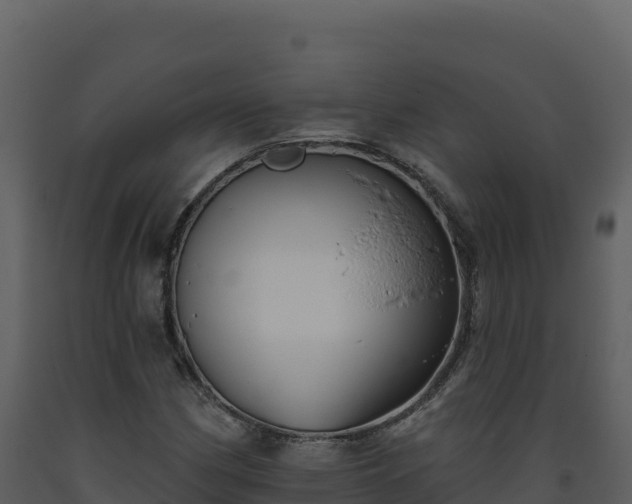 X0000093481162200710191200