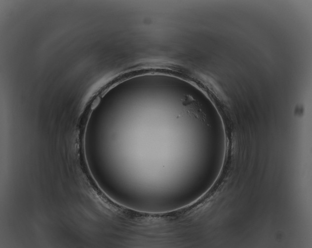 X0000093481164200710191200