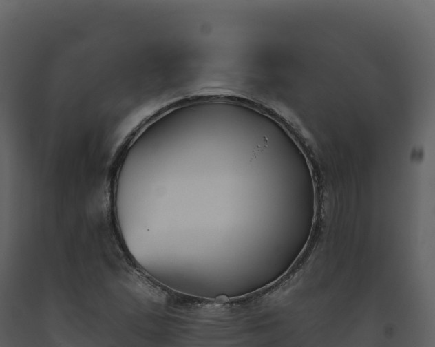 X0000093481167200710191200