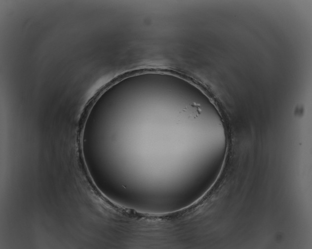 X0000093481168200710191200
