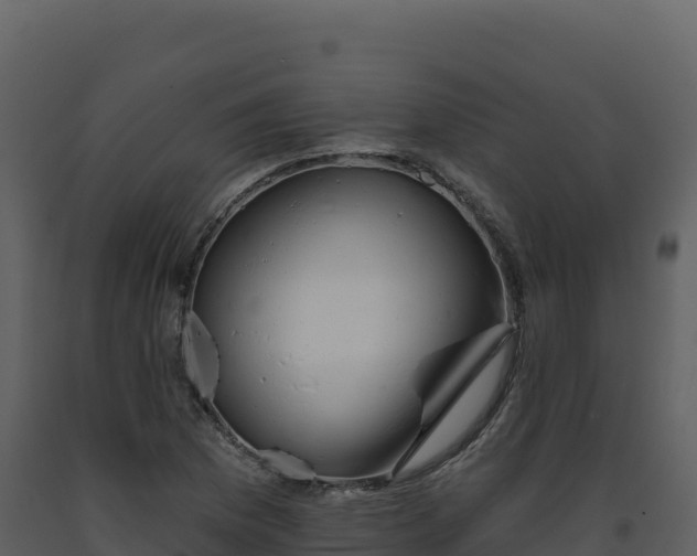 X0000093481169200710191200