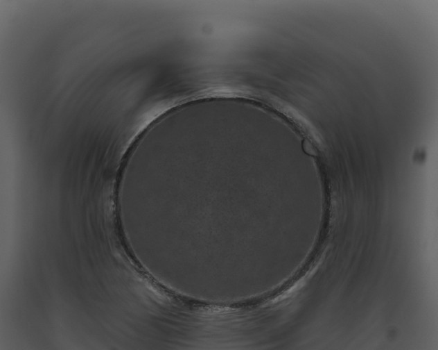 X0000093481170200710191200