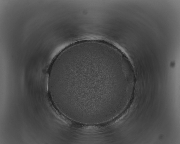 X0000093481171200710191200