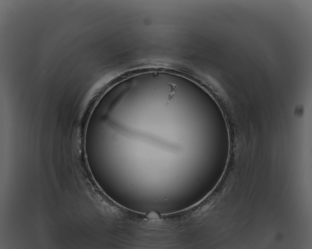 X0000093481172200710191200