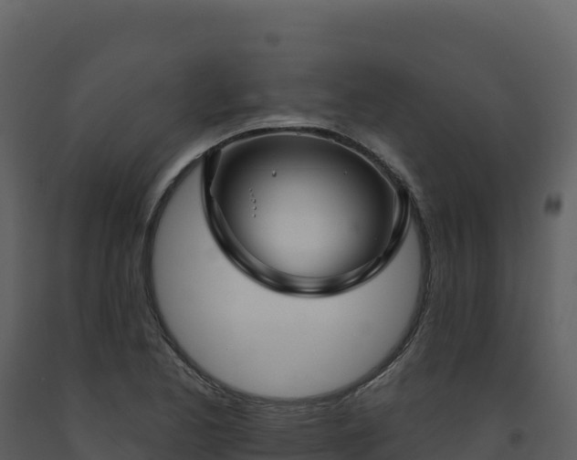 X0000093481173200710191200