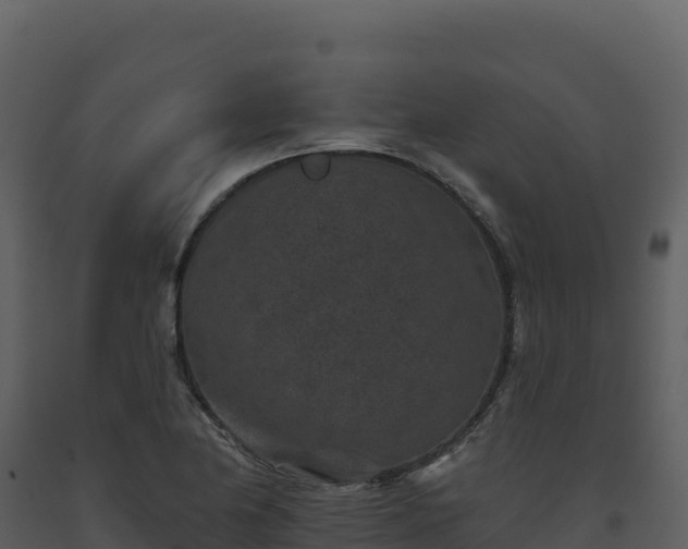 X0000093481174200710191200
