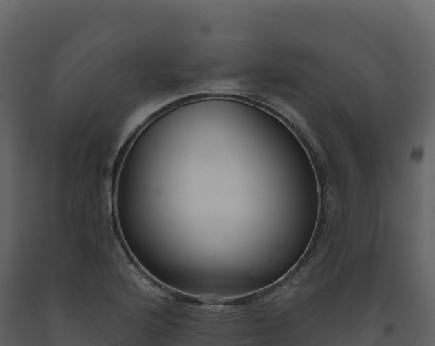 X0000093481176200710191200