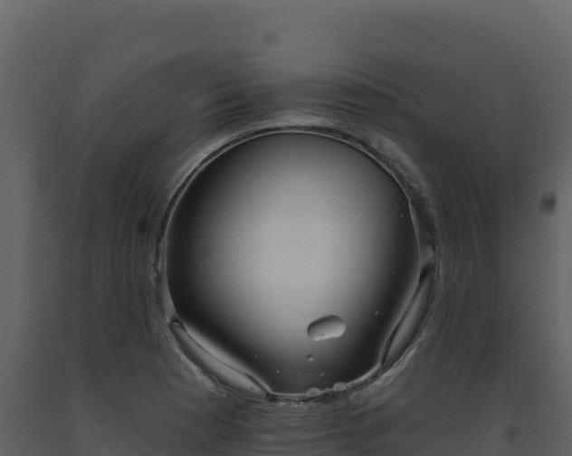 X0000093481177200710191200