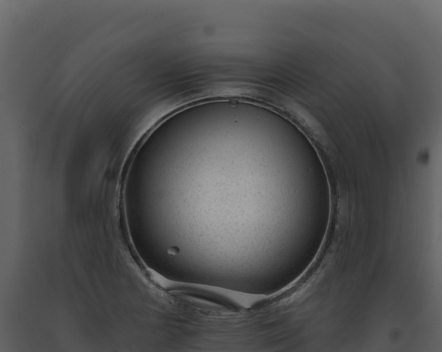 X0000093481178200710191200