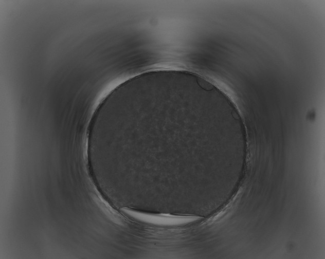 X0000093481179200710191200