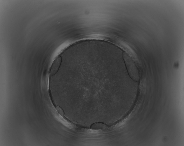 X0000093481180200710191200