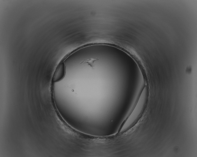 X0000093481181200710191200
