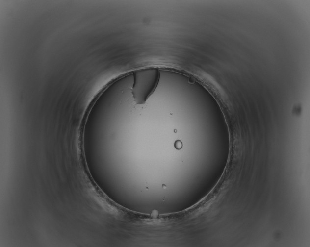 X0000093481182200710191200