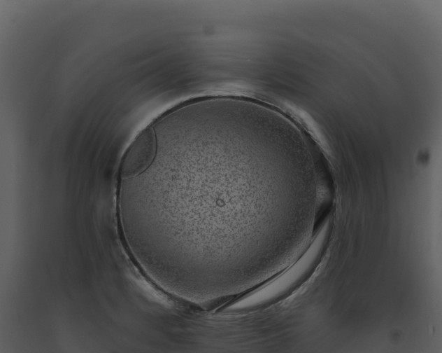 X0000093481184200710191200