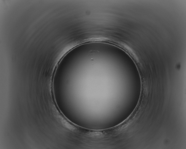 X0000093481186200710191200