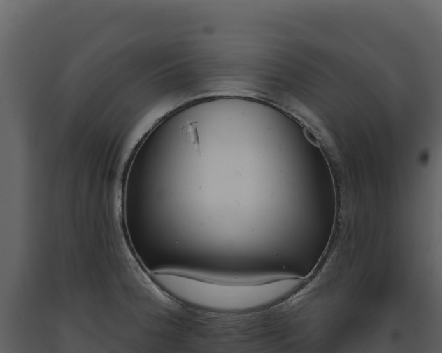 X0000093481188200710191200