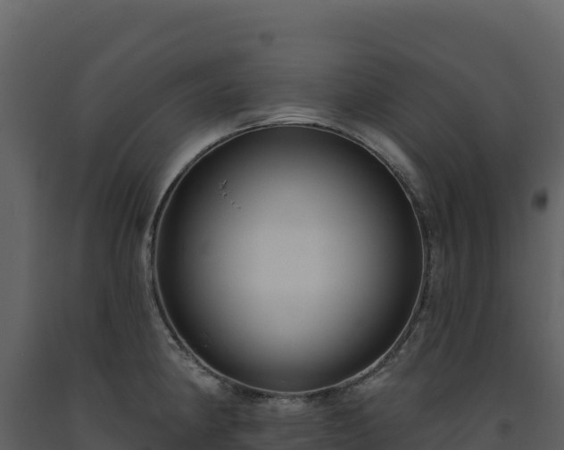 X0000093481190200710191200
