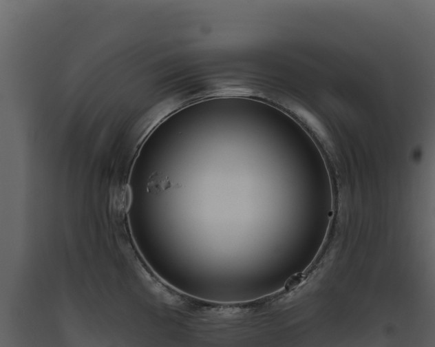 X0000093481193200710191200