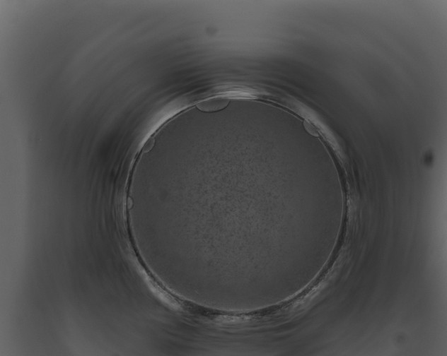 X0000093481194200710191200