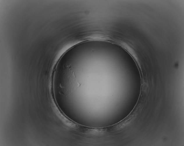 X0000093481195200710191200