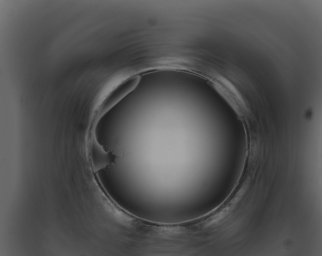 X0000093481196200710191200