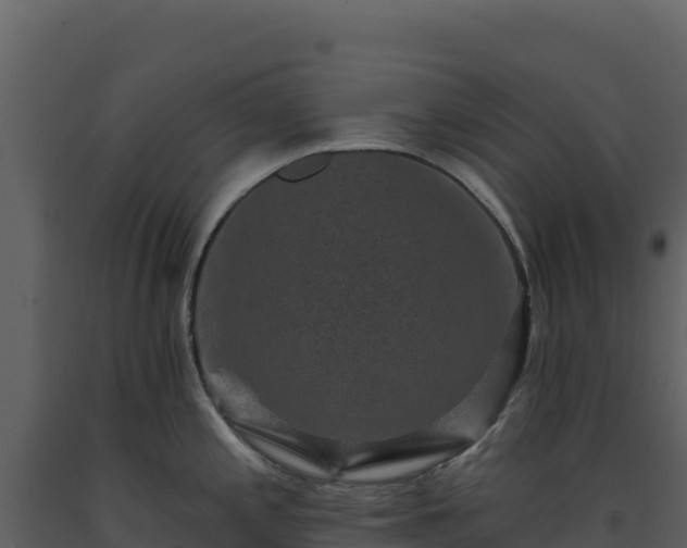 X0000093481197200710191200