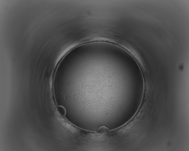 X0000093481198200710191200