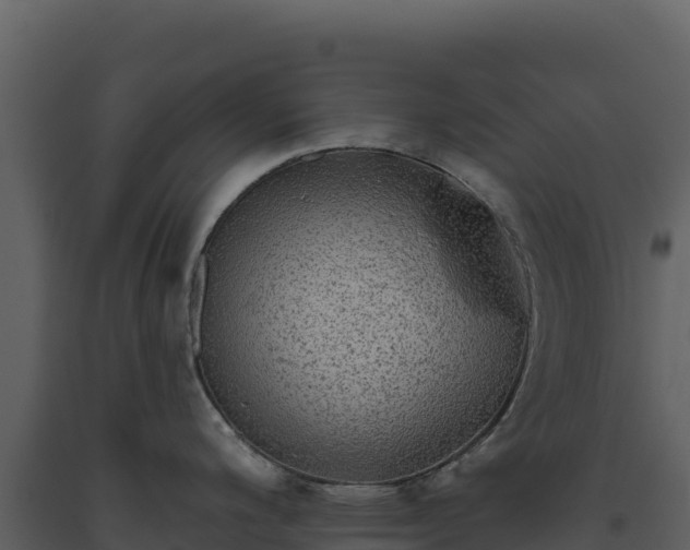 X0000093481200200710191200