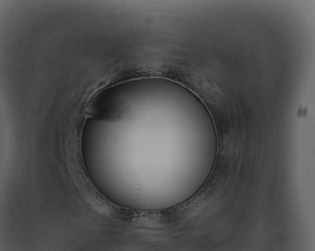 X0000093481201200710191159