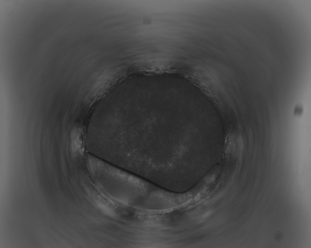 X0000093481202200710191159