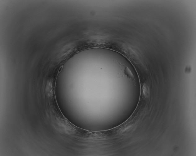 X0000093481203200710191159