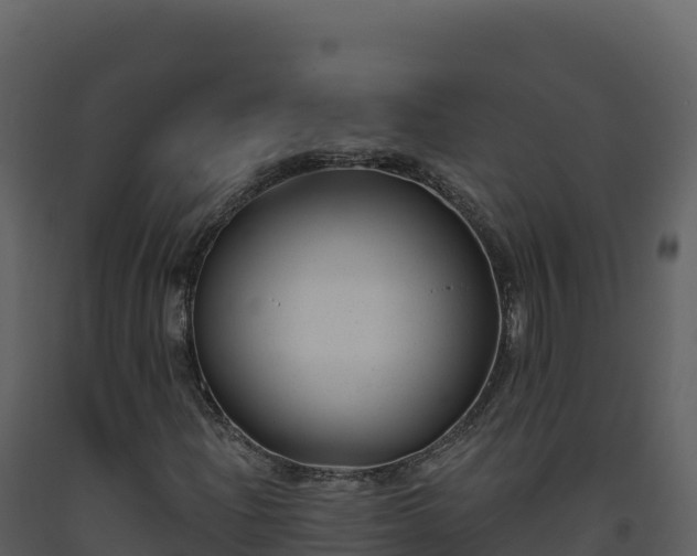 X0000093481204200710191159