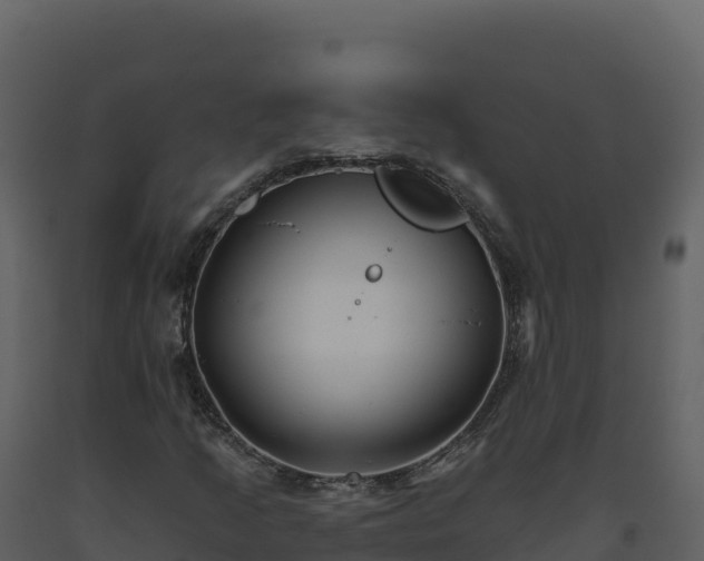 X0000093481205200710191159