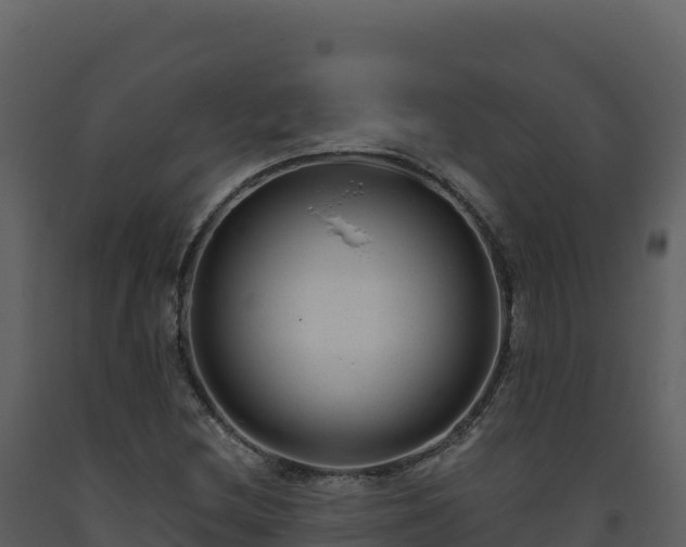 X0000093481212200710191159