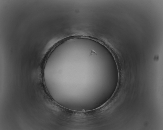X0000093481215200710191159