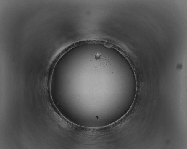 X0000093481216200710191159
