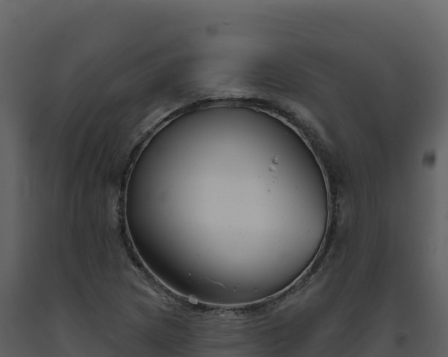 X0000093481217200710191159