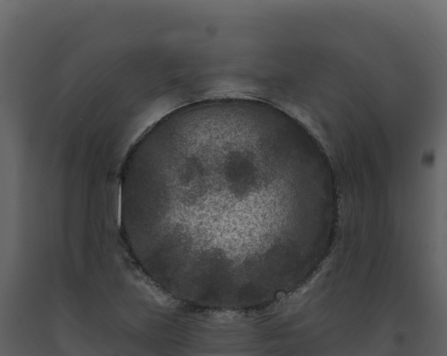 X0000093481219200710191159