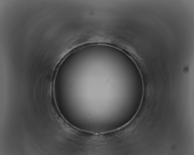 X0000093481220200710191159