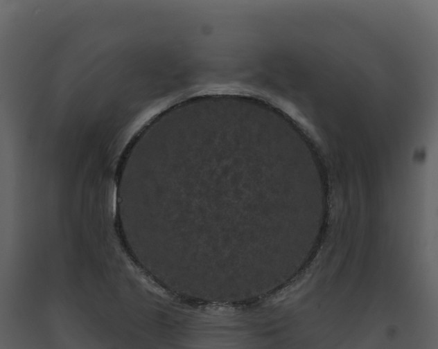 X0000093481221200710191159