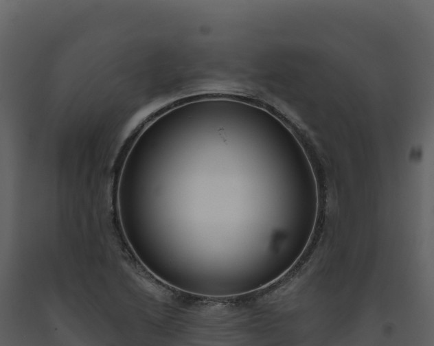 X0000093481222200710191159