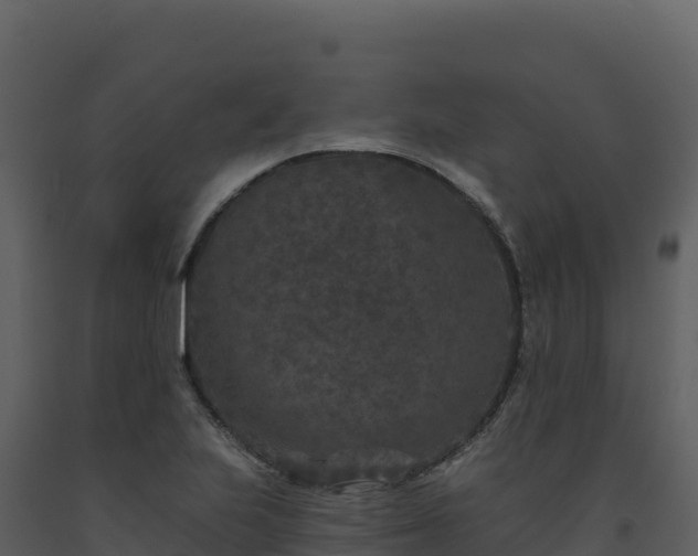 X0000093481223200710191159