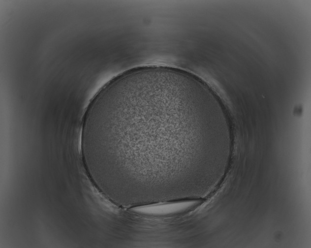 X0000093481224200710191159