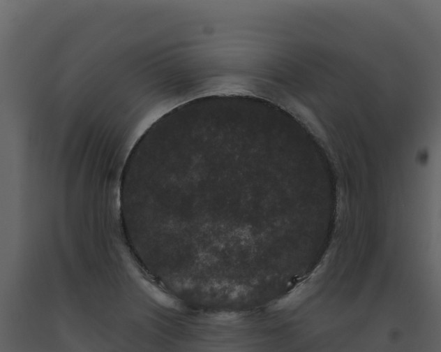 X0000093481226200710191159