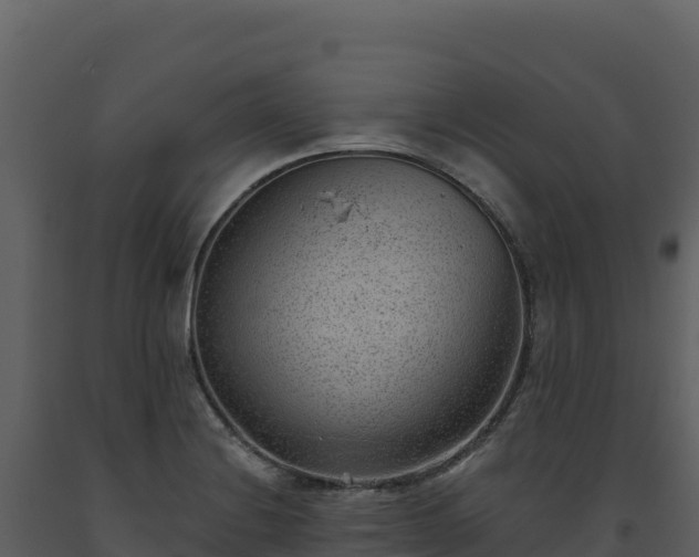 X0000093481228200710191159