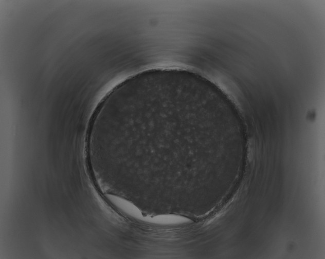 X0000093481229200710191200